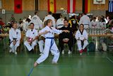 German_Open _Giebelstadt_2014_20.jpg